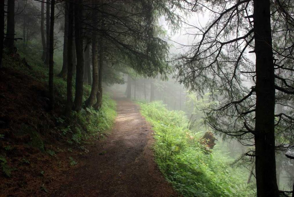 Kalatop near Dalhousie