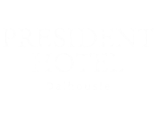 logo removebg preview